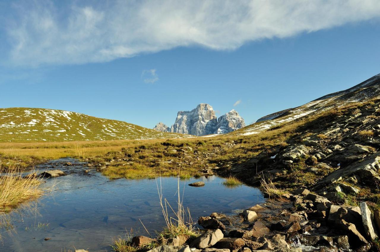 Appartamenti Codan Сан-Вито-ди-Кадоре Экстерьер фото